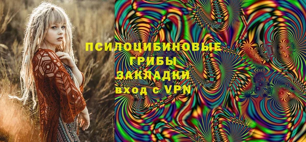 бошки Анива