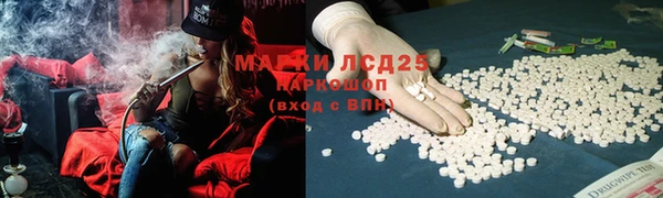 МДПВ Абаза