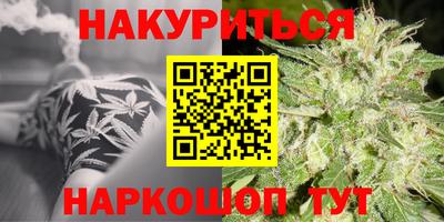 сатива Коммунар